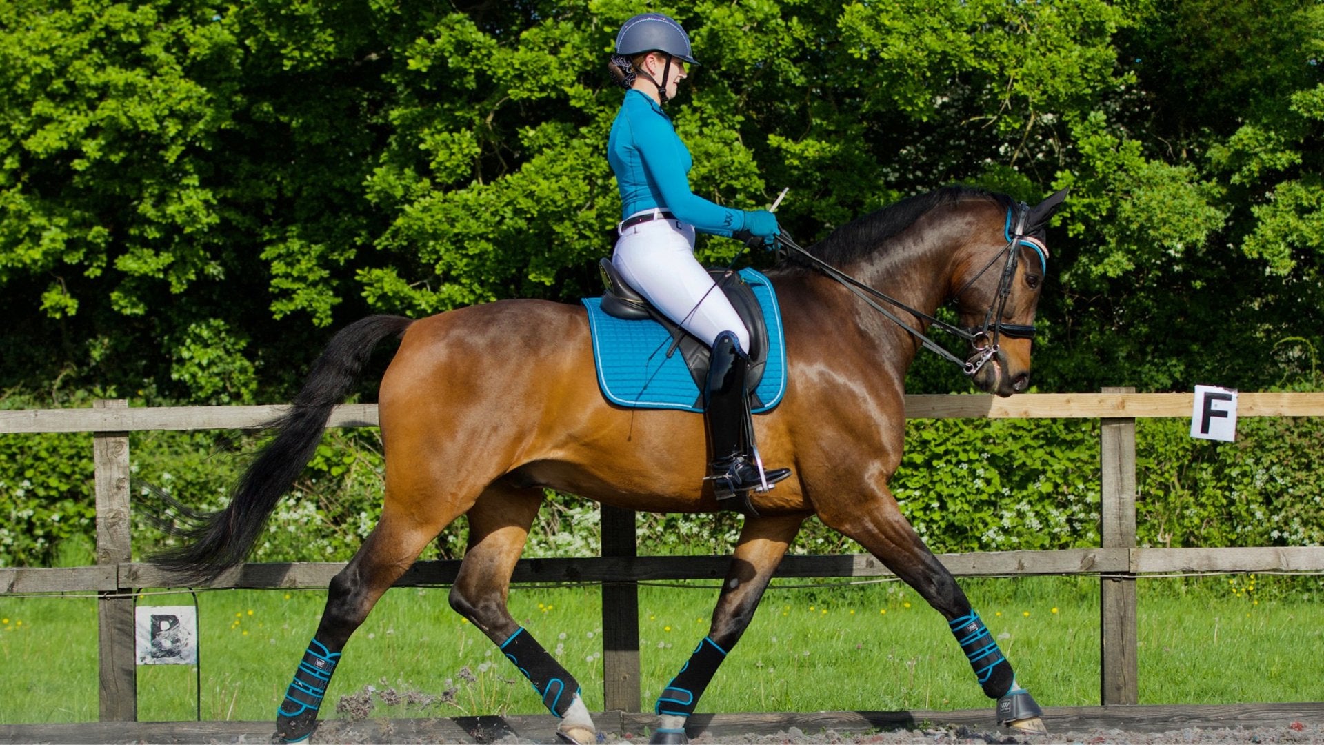 Woof Wear 2022 Vision Dressage Pad WS0006 - Pistachio Woof Wear 2022 Vision Dressage Pad WS0006 - Pistachio