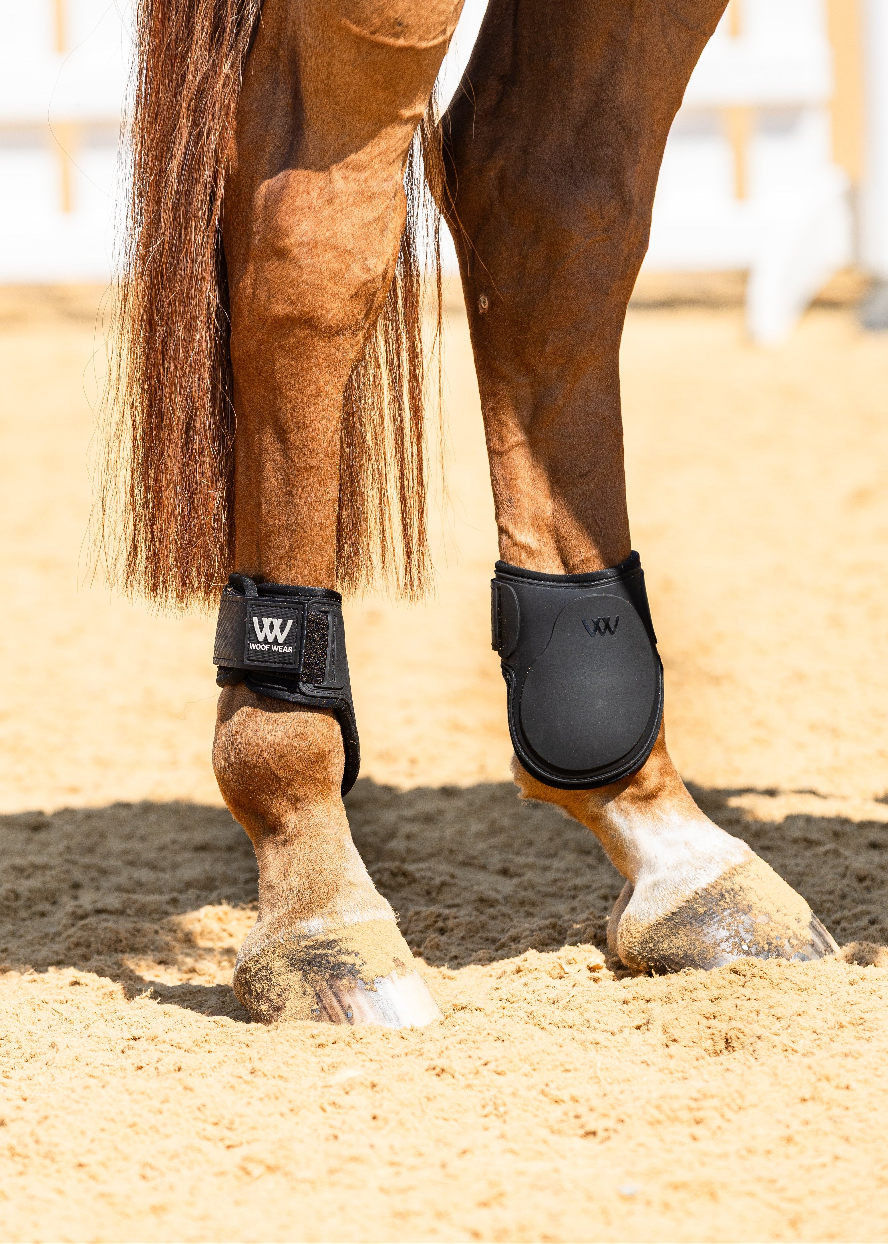 Pro Fetlock Boot – Woof Wear