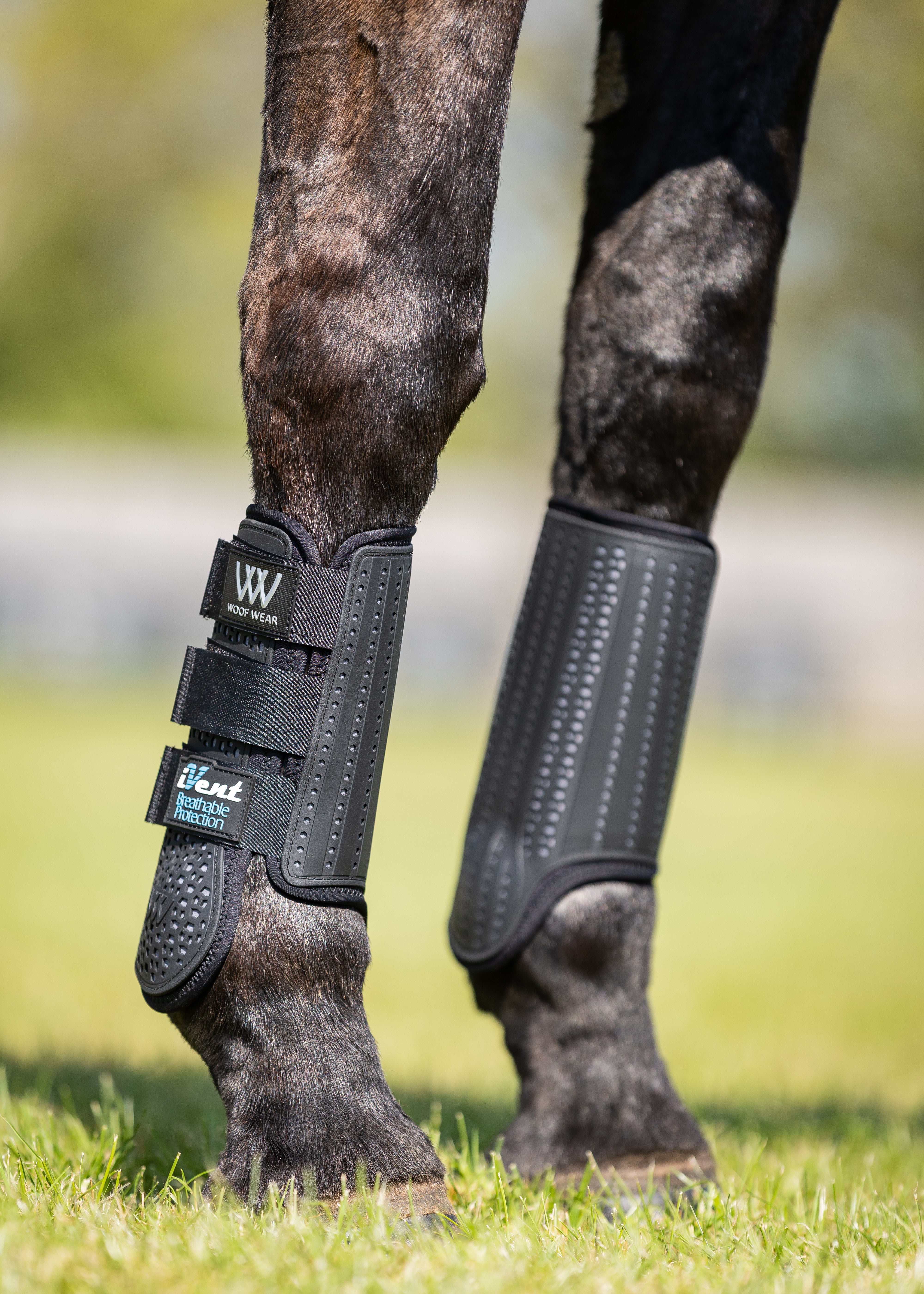 iVent Event Boot Front – Woof Wear