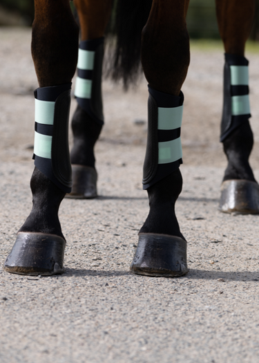 Club Brushing Boot | Pistachio