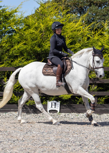 Club Brushing Boot | Mocha