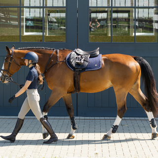 Horse Wear