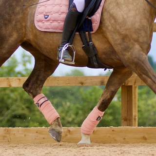 Chemise de concours d'équitation femme ANKY ANKY Chemise de concours d'équitation femme ANKY ANKY