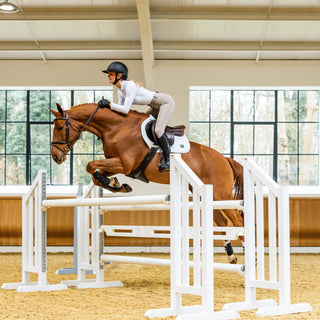 Showjumping