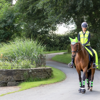 Hi Vis / Safety