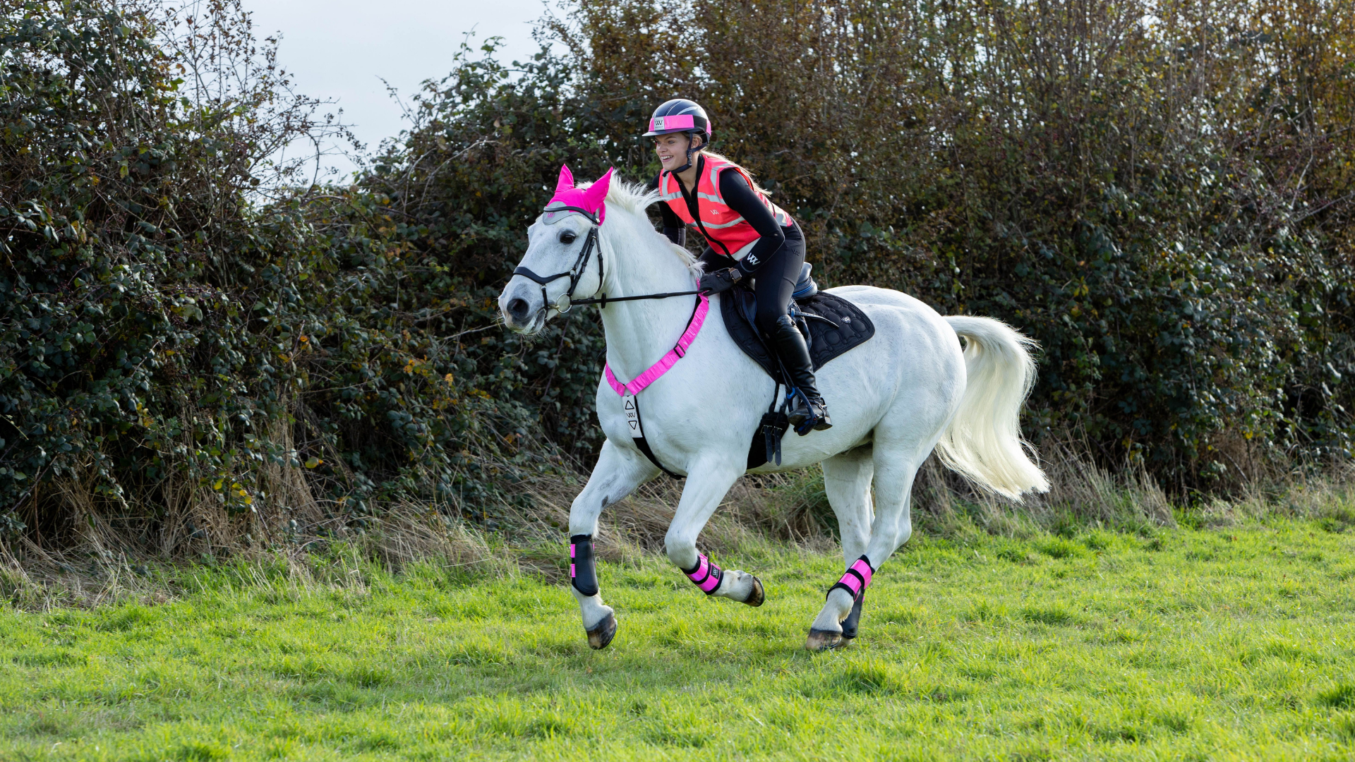Hi Vis / Safety For Your Horse