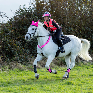 Hi Vis / Safety For Your Horse