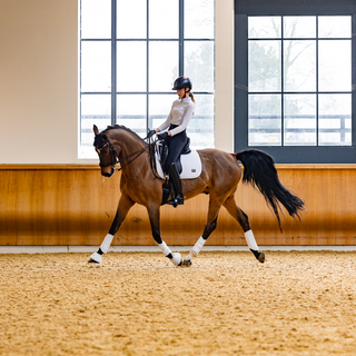 Dressage