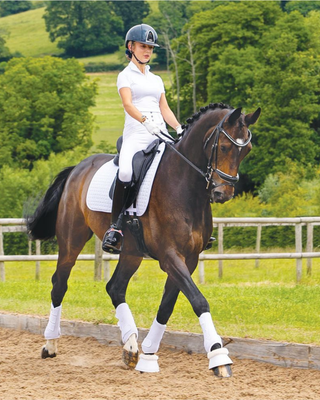 Dressage