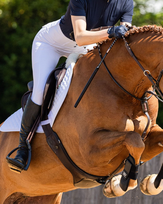 Showjumping