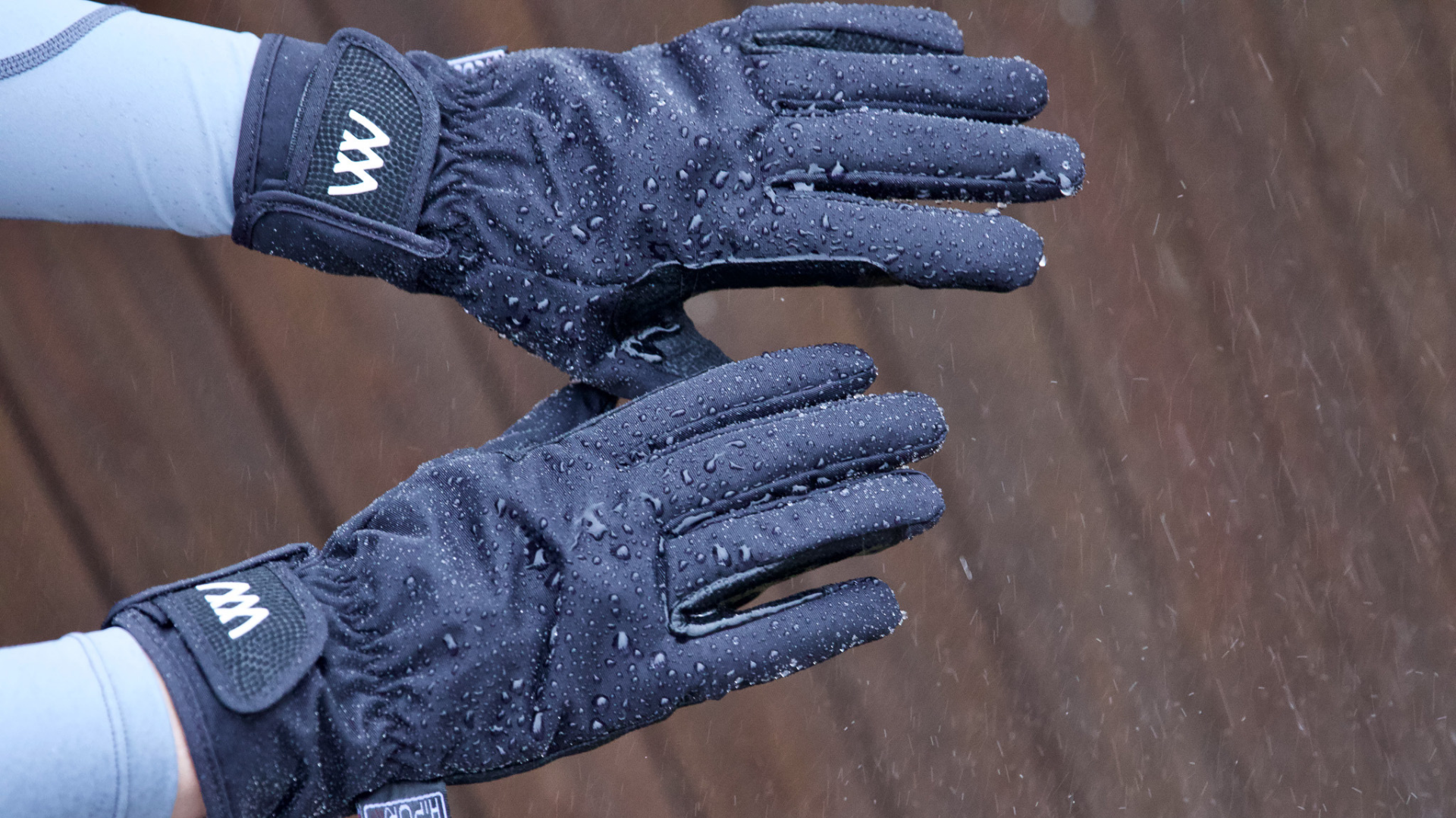 Winter Gloves