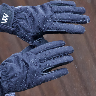 Winter Gloves
