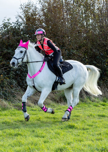 Hi Vis Riding Vest (not certified) 