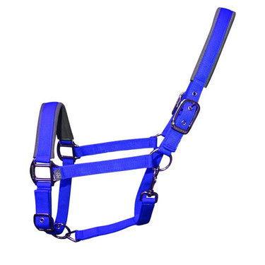 Contour Head Collar | Electric Blue