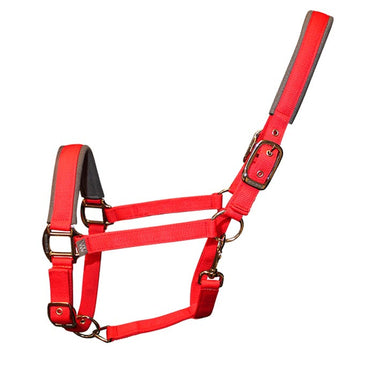 Contour Head Collar | Royal Red