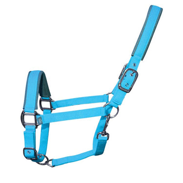 Contour Head Collar | Turquoise
