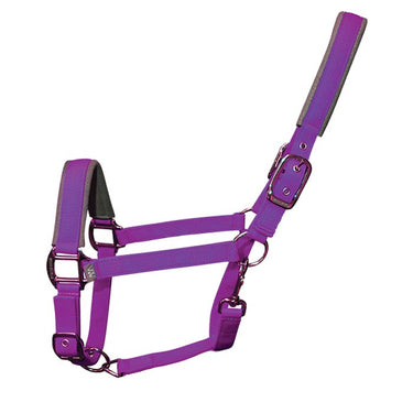 Contour Head Collar | Ultra Violet