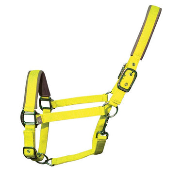 Contour Head Collar | Sunshine Yellow