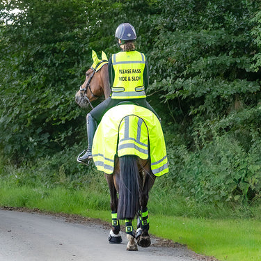 Hi Vis Exercise Sheet 