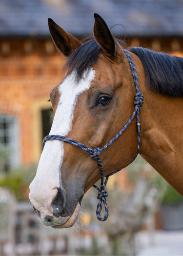 Rope Halter | Navy