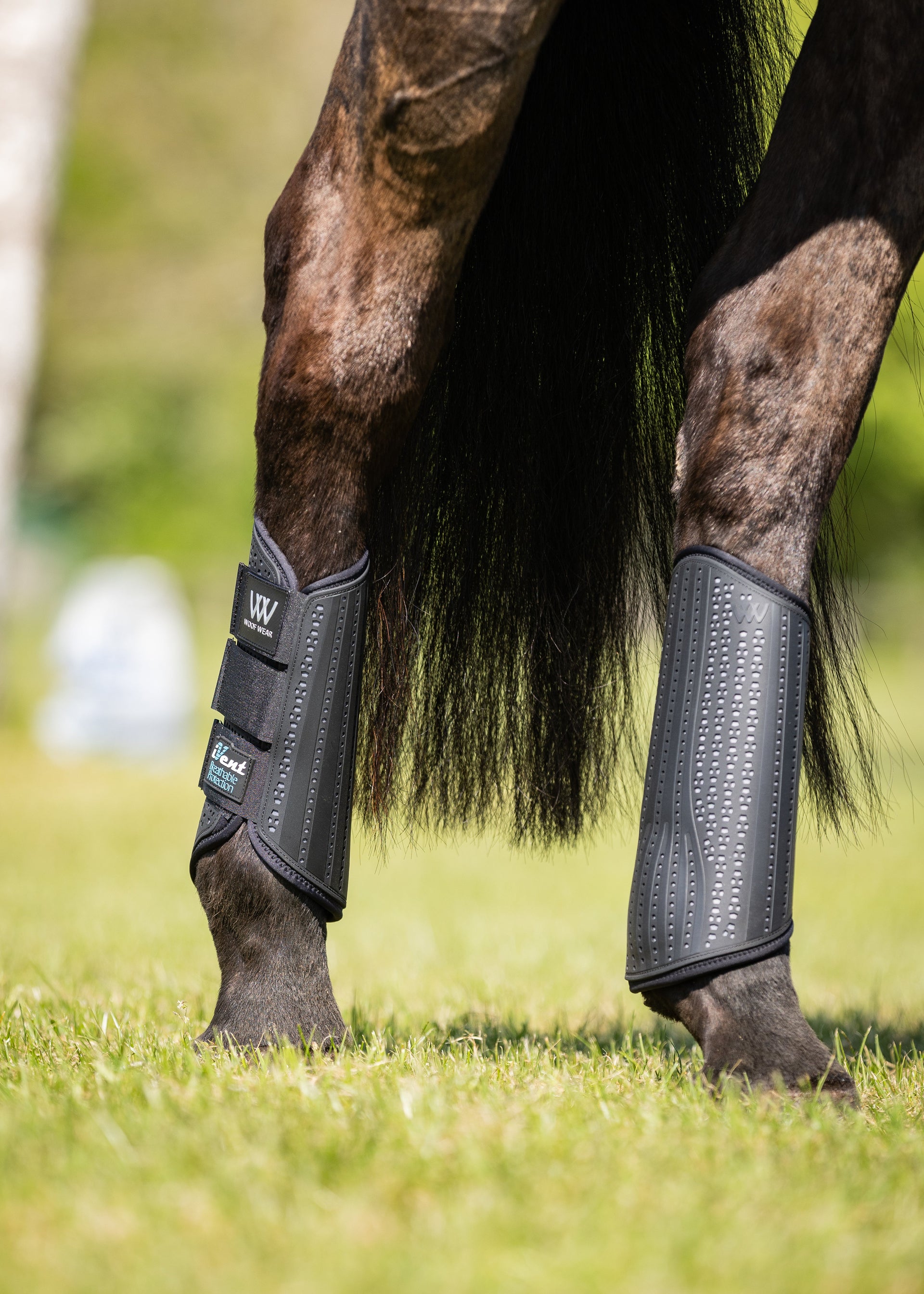 iVent Event Boot Hind – Woof Wear1