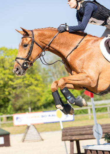 Horse and rider in an equestrian event with a clear sky and greenery in the background.
