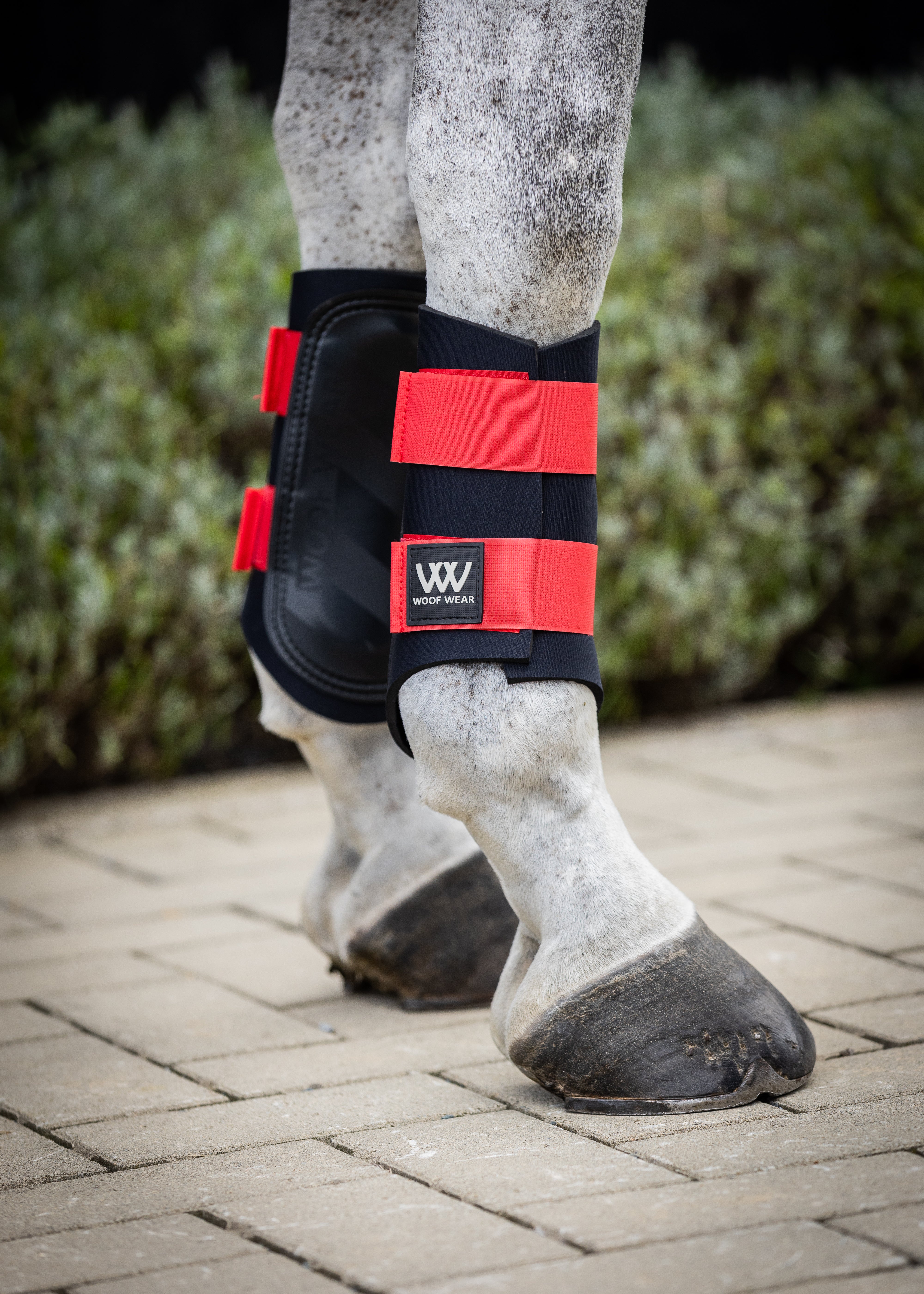 Brushing Boot Pattern Club Brushing Boot | Royal Red | Sample – Woof Wear