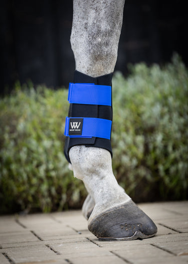 Club Brushing Boot | Electric Blue