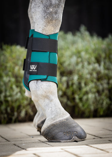 Club Brushing Boot | British Racing Green