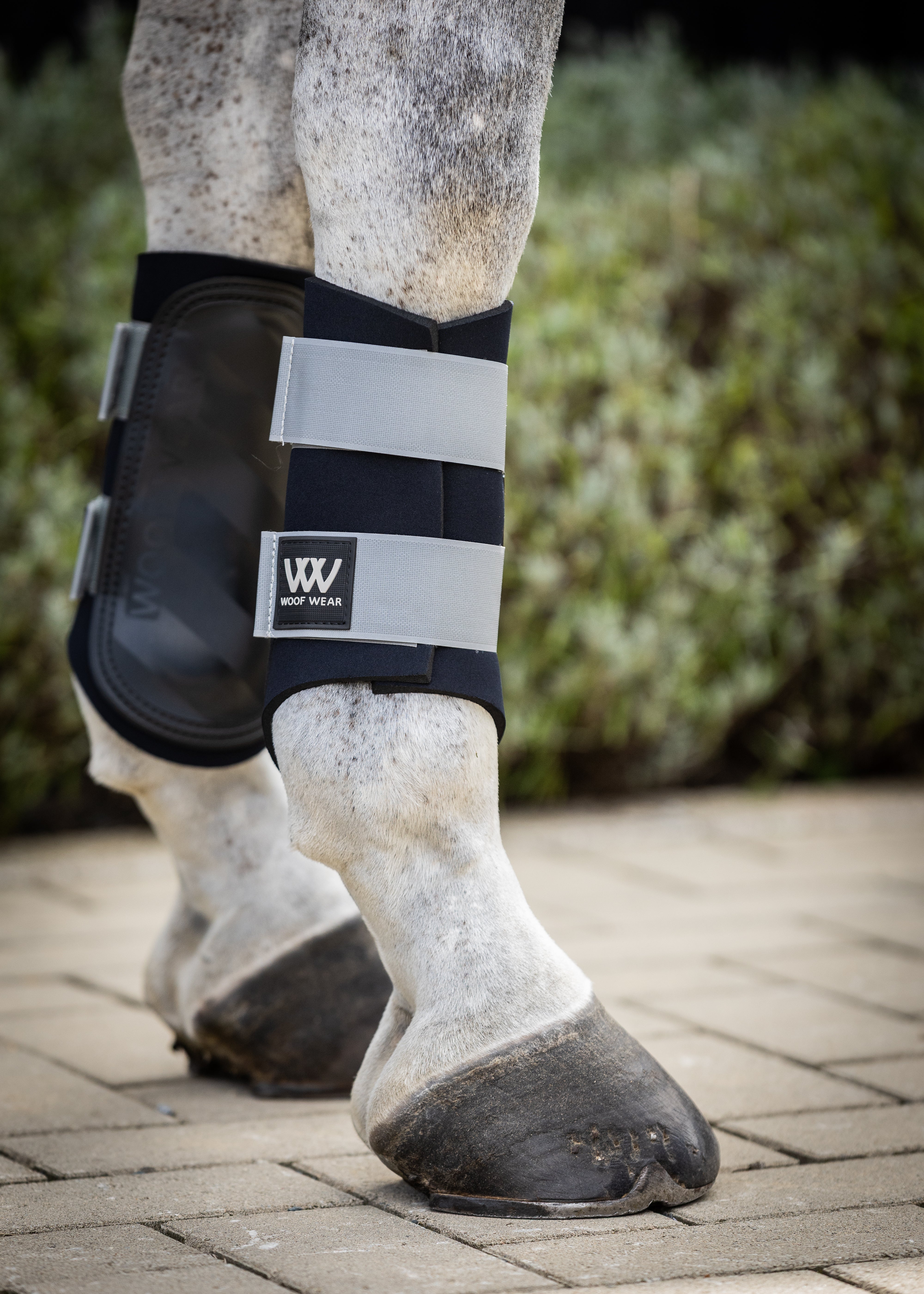 Brushing Boot Pattern Club Brushing Boot | Steel – Woof Wear