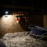 A horse stall interior at night with a wall-mounted LED light illuminating wood shavings, a striped blanket hanging on the wall, and a wheelbarrow on the right.