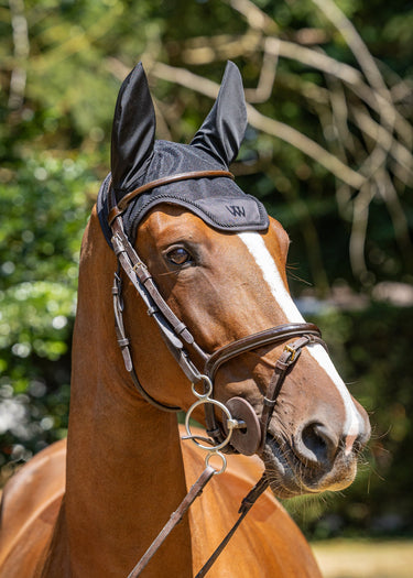 Classic Fly Veil | Black