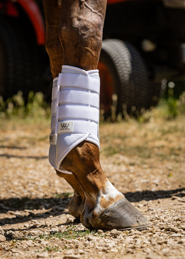 Single Lock Brushing Boot | White