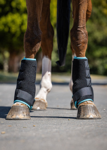 Polar Ice Boot