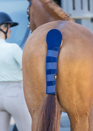 Tail Guard | Navy