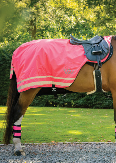Hi Vis Exercise Sheet | Hi Vis Pink