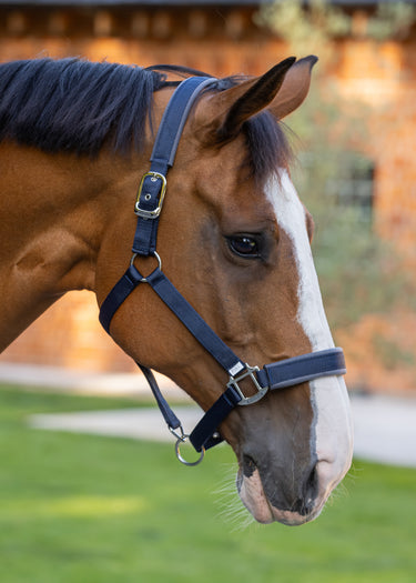 Contour Head Collar | Navy