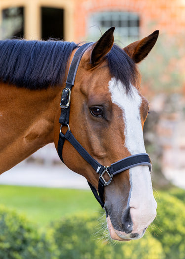 Contour Head Collar | Black