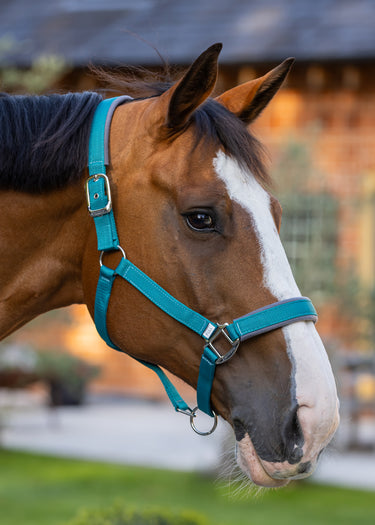 Contour Head Collar | Ocean