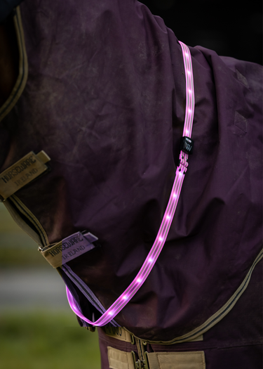 LED Sash | Hi Vis Pink