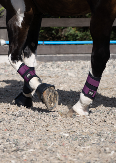 Club Brushing Boot | Damson