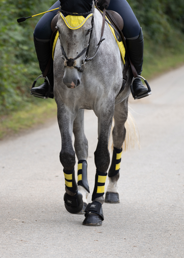 Club Brushing Boot | Sunshine Yellow