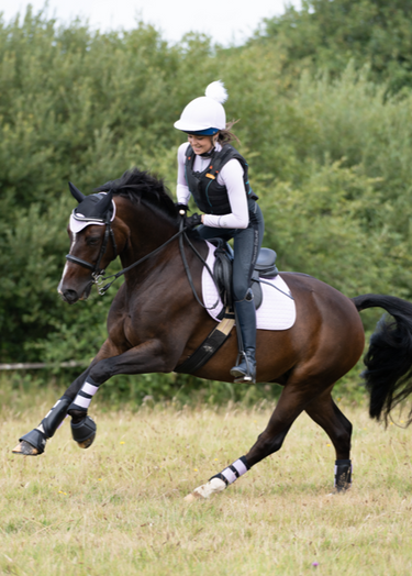 Club Brushing Boot | Lilac