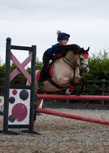 Fly Veil | Royal Red