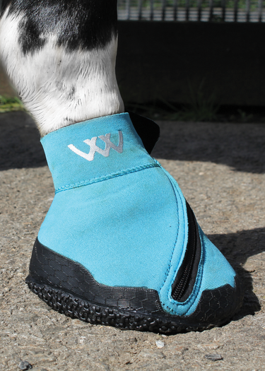 Medical Hoof Boot