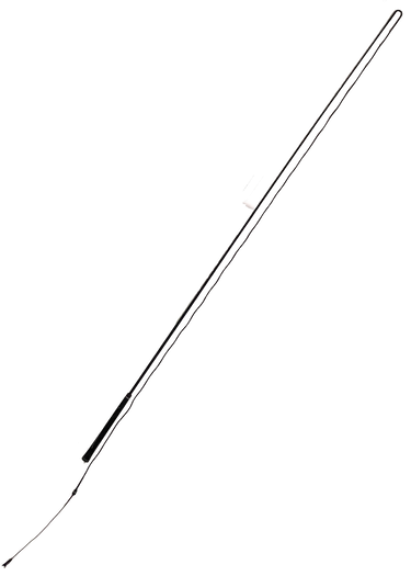 Original Lunge Whip