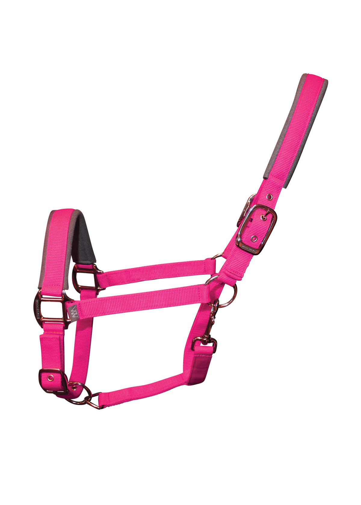 Contour Head Collar | Berry – Woof Wear