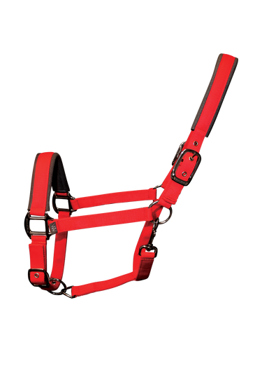Contour Head Collar | Royal Red