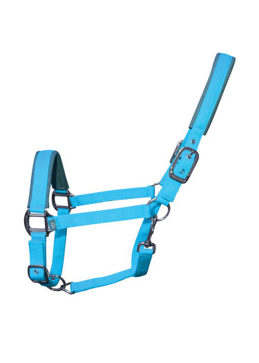 Contour Head Collar | Turquoise