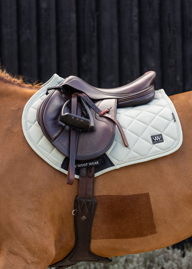 Vision Aura CC Pad | Sage